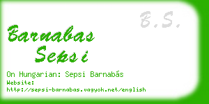 barnabas sepsi business card